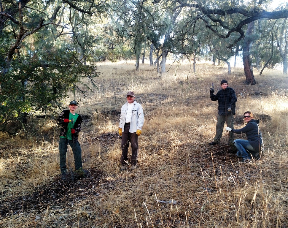 Robert, Bruce, Daniel and Lucy making some happy saplings.